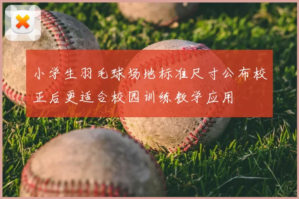 小学生羽毛球场地标准尺寸公布校正后更适合校园训练教学应用